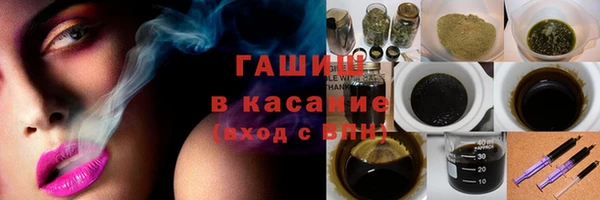гидра Вяземский