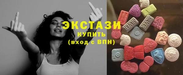 гидра Вяземский