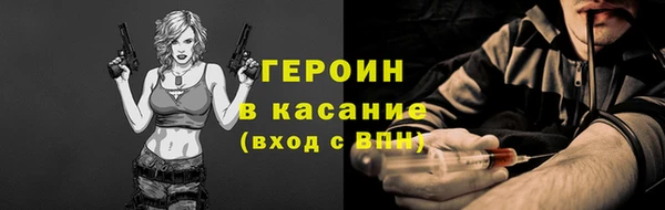 гидра Вяземский