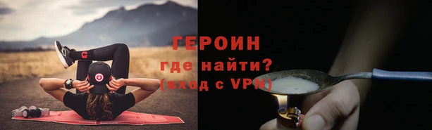 гидра Вяземский
