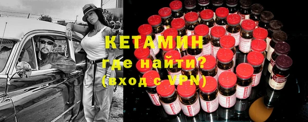 гидра Вяземский