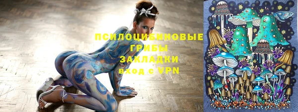 гидра Вяземский