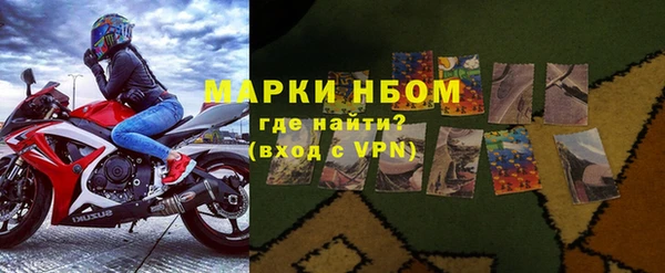 гидра Вяземский