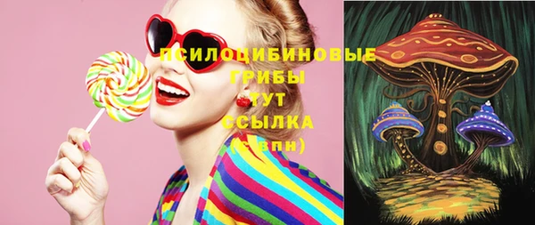 гидра Вяземский