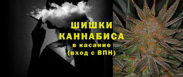 гидра Вяземский
