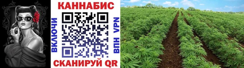 Канабис MAZAR Ивангород